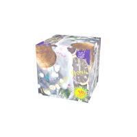 Новогодняя ночь Салют купить в Темрюке | temryuk.salutsklad.ru