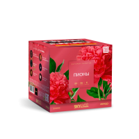 Пионы Салют купить в Темрюке | temryuk.salutsklad.ru