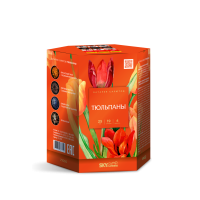 Тюльпаны Салют купить в Темрюке | temryuk.salutsklad.ru