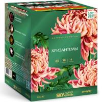 Хризантемы Фейерверк купить в Темрюке | temryuk.salutsklad.ru