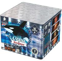 Косатка Фейерверк купить в Темрюке | temryuk.salutsklad.ru