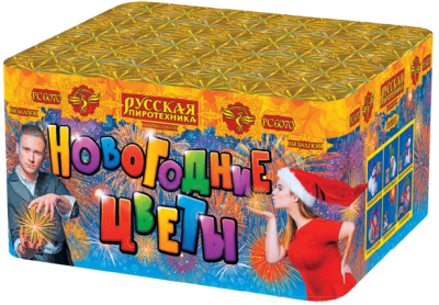 Новогодние цветы Фейерверк купить в Темрюке | temryuk.salutsklad.ru