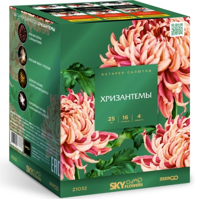 Хризантемы Фейерверк купить в Темрюке | temryuk.salutsklad.ru