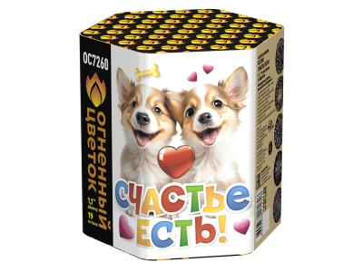 Счастье есть! Салют купить в Темрюке | temryuk.salutsklad.ru